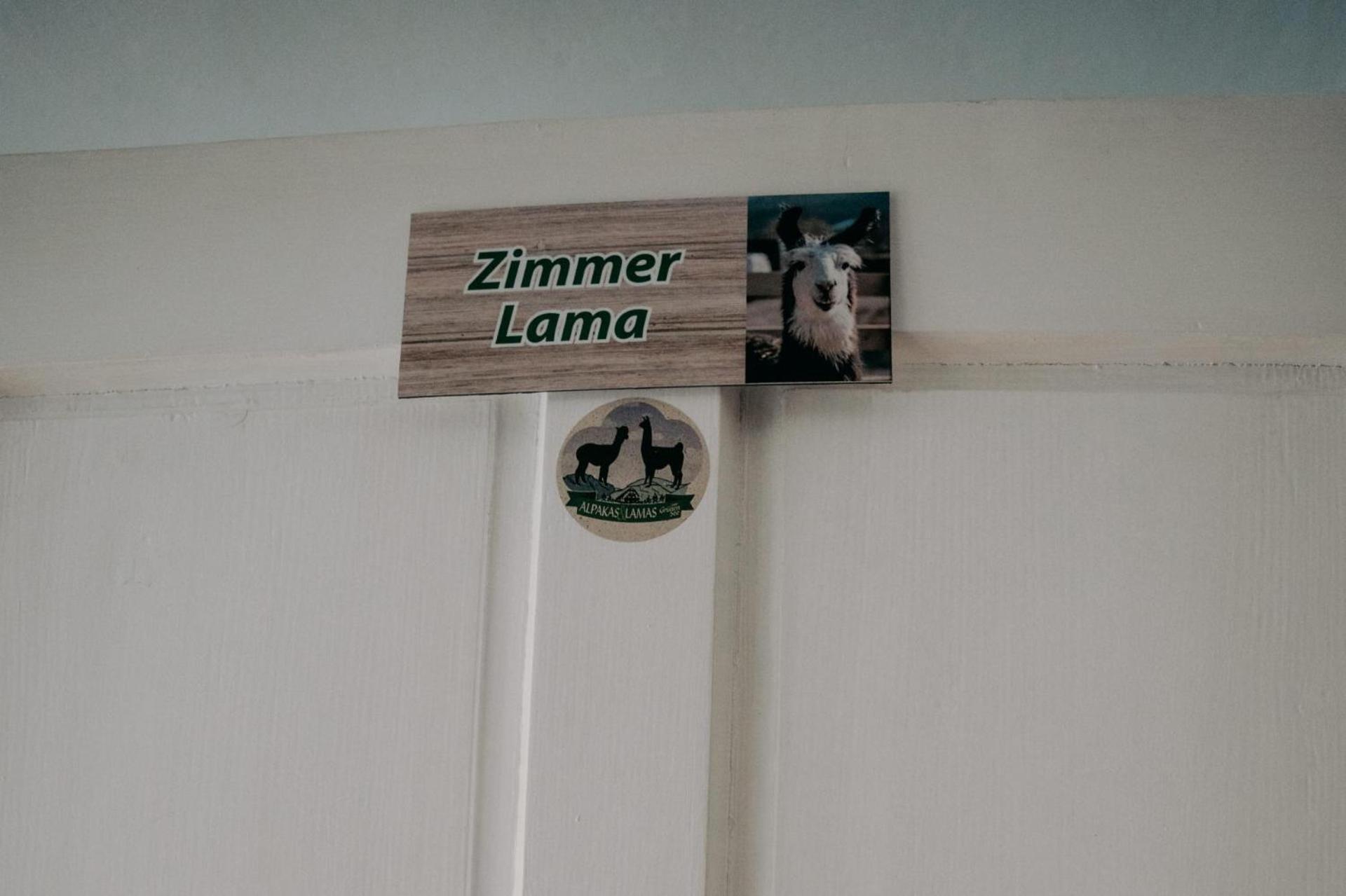 Alpakas, Lamas Und Rentiere Zum Gruenen See Grossdorf  Exterior foto